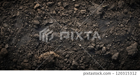 Uneven, rocky ground with scattered stones and pebbles. Arid environment concept. Uneven, rocky ground with scattered stones and pebbles. Arid environment concept. 120315312