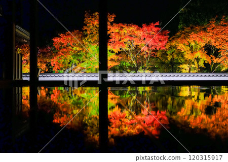 Autumn leaves reflected on the floor of the main hall Autumn leaves reflected on the floor of the main hall 120315917