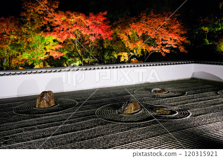 Dry landscape garden with autumn leaves 120315921