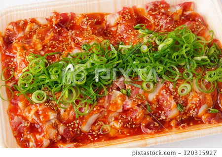 Bulgogi ingredients Bulgogi ingredients 120315927