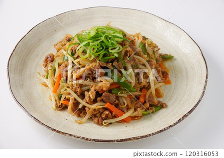 Bulgogi Korean food Bulgogi Korean food 120316053