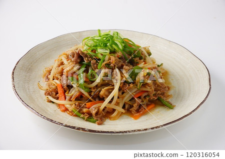 Bulgogi Korean food Bulgogi Korean food 120316054