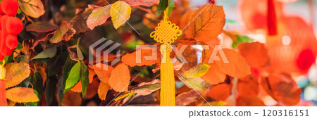 Chinese red lanterns for the Chinese New Year BANNER, LONG FORMAT 120316151