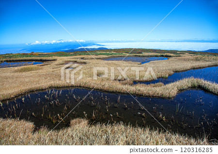 秋天的月山彌陀原 120316285