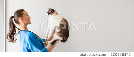 Veterinary. Cheerful Veterinarian Doctor Woman Doing Health Checkup Holding And Examining Domestic Cat Standing in Modern Clinic. Feline Wellbeing And Healthcare Concept. Side View Shot, Copy Space 120316342