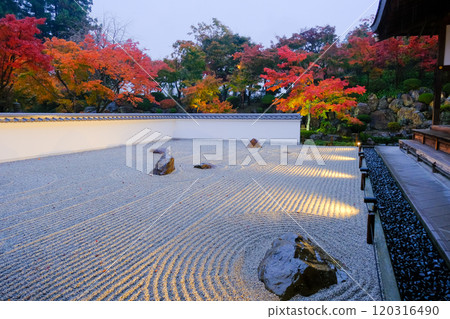 Rock garden and autumn leaves at dusk 120316490
