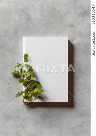 white book mockup on the table next to the flower white book mockup on the table next to the flower 120316547