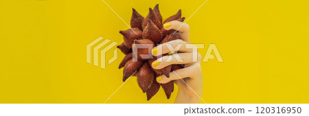 Hand with a yellow manicure holding a ripe salak on a yellow background BANNER, LONG FORMAT 120316950