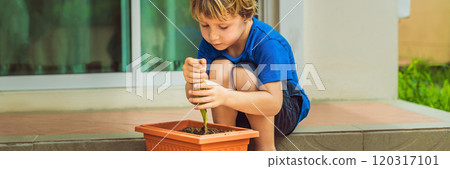 Little cute boy sows seeds in a flower pot in the garden BANNER, LONG FORMAT Little cute boy sows seeds in a flower pot in the garden BANNER, LONG FORMAT 120317101