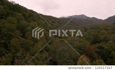 Beautiful autumn leaves in Japan (Kitanizawa Stream) drone aerial photography 03 120317167