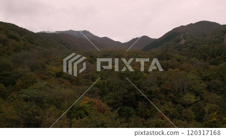 Beautiful autumn leaves in Japan (Kitanizawa Stream) drone aerial photography 04 120317168