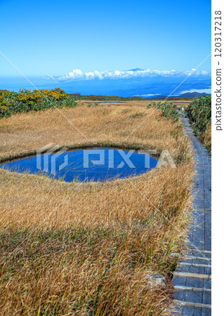 秋天的月山彌陀原 120317218