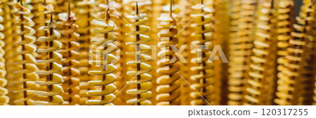 Spiral potatoes fried, on wooden sticks, spiral. Selling food at the market. Unhealthy fried food. Street food, a spiral fried potato on a stick BANNER, LONG FORMAT Spiral potatoes fried, on wooden sticks, spiral. Selling food at the market. Unhealthy fried food. Street food, a spiral fried potato on a stick BANNER, LONG FORMAT 120317255