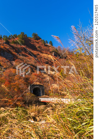 鐵路橋樑和隧道染上秋葉 鐵路橋樑和隧道染上秋葉 120317405
