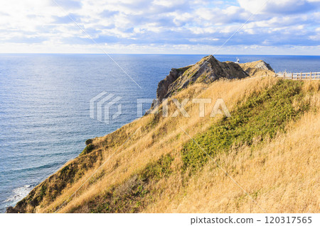Cape Kamui enveloped in autumn breezes [Hokkaido] 120317565