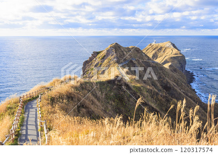 被秋風包裹的神威岬【北海道】 120317574