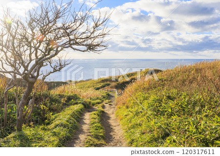 Cape Kamui enveloped in autumn breezes [Hokkaido] 120317611