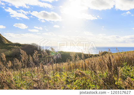 Cape Kamui enveloped in autumn breezes [Hokkaido] 120317627
