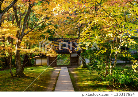 世界遺產中尊寺，陽光照耀的秋天早晨，岩手縣長樹院道路 120317654