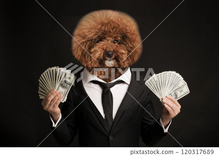 A stylish dog with a fluffy coat dressed in a suit is joyfully holding stacks of cash in each paw. The background is dark, creating a contrast that highlights its cheerful expression and formal attire 120317689
