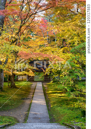 World Heritage Site Chusonji Temple: Autumn morning sunlight streaming in on the approach to Daichojuin Temple, Iwate Prefecture World Heritage Site Chusonji Temple: Autumn morning sunlight streaming in on the approach to Daichojuin Temple, Iwate Prefecture 120317883