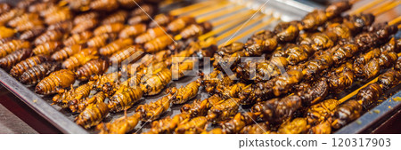 Grill and fried silkworm pupae on stick from Wangfujing street at Beijing, China BANNER, LONG FORMAT 120317903