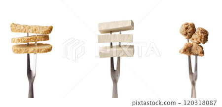 Vegan appetizers. Soy meat, soybean cheese Tofu and Tempeh on forks, isolated on white, panorama 120318087