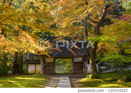 世界遺產中尊寺的秋天，陽光照耀的晨門，岩手縣長十院的參道 120318107