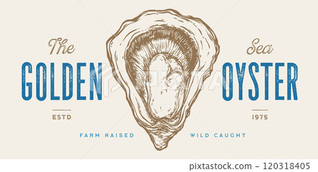 Oyster, seafood. Vintage retro print, seafood oysters sketch, logo sign template, ink pencil style drawing, engrave old school. Hand drawn sketch oysters. Vector Illustration 120318405