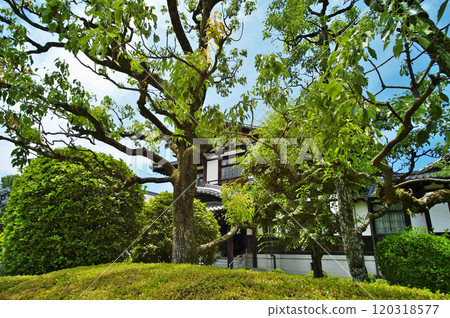 可以穿越江戶時代的今井町今井町南交流中心 可以穿越江戶時代的今井町今井町南交流中心 120318577