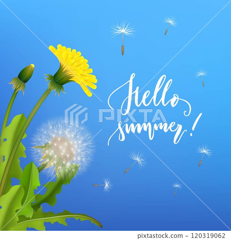 Dandelion bush flying seeds blue background 120319062