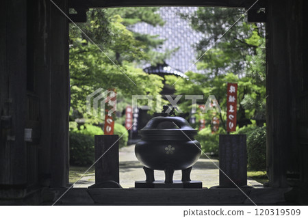 Summer scenery at Tendoku-in Temple 120319509