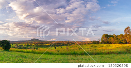 Grassland with forest in the background 120320298