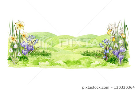 Spring season landscape with green grass, blooming flowers, rolling hills. Hand painted watercolor illustration. Ideal for Easter background decor, seasonal cards and nature-themed countryside design 120320364