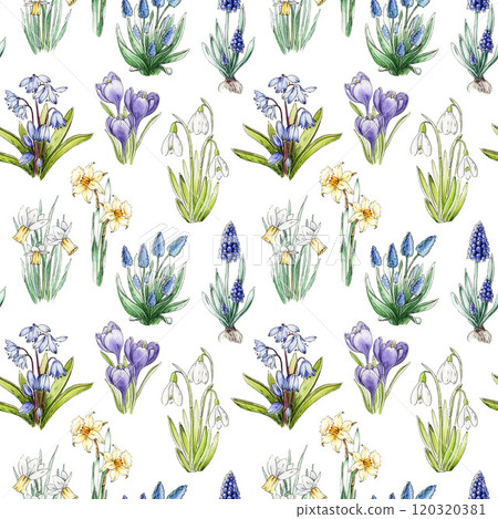 Primrose spring flowers seamless pattern. Watercolor vintage style illustration. Spring season daffodil, snowdrop, muscari, crocus, bluebell tender countryside village flowers on white background 120320381