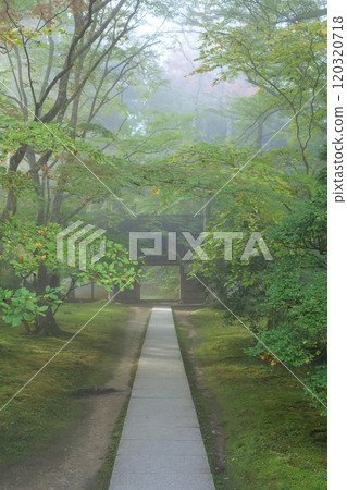 岩手縣中尊寺即將入秋，大長十院的參道被晨霧籠罩 120320718