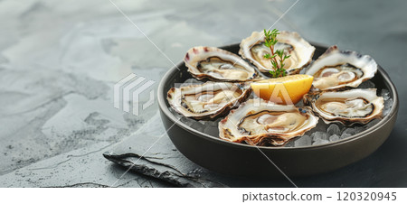 A circular bowl holds freshly shucked oysters on ice, garnished with a lemon wedge and a sprig of herbs, creating an appetizing seafood presentation. A circular bowl holds freshly shucked oysters on ice, garnished with a lemon wedge and a sprig of herbs, creating an appetizing seafood presentation. 120320945
