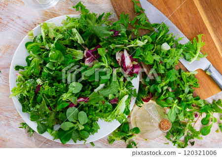 Fresh leaves of endive radicchio and field salad Fresh leaves of endive radicchio and field salad 120321006