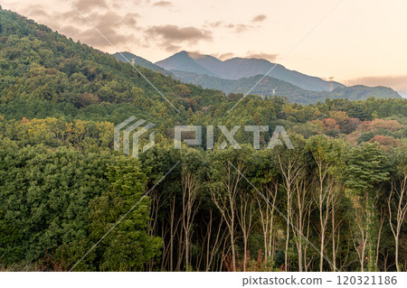 Autumn leaves starting to change in the mountains at dusk 120321186