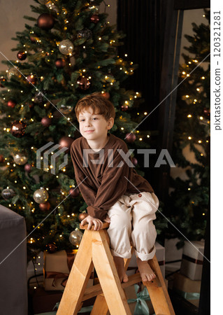 A young boy is sitting on a wooden ladder in front of a Christmas tree 120321281