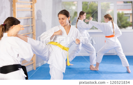 Females in kimono practicing fighting moves Females in kimono practicing fighting moves 120321834