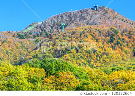 Autumn Zao 120322664