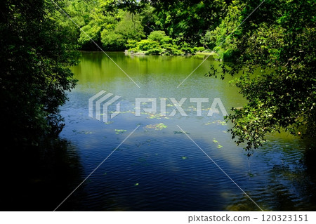 Ritsurin Garden, 120323151