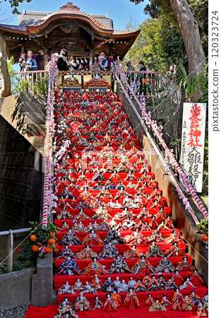 Iwatsuki Walk: Atago Shrine's large doll display stand, Iwatsuki Ward, Saitama City 120323724