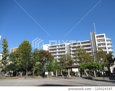 Motokaga Park 120324197