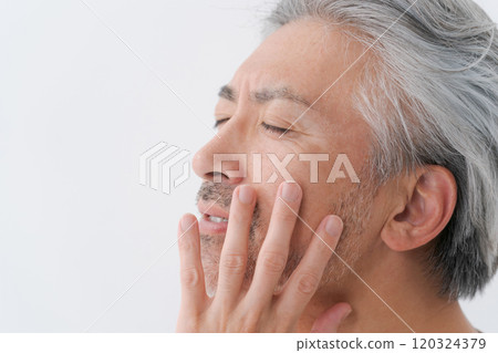 Face parts of a middle-aged man with grey hair Face parts of a middle-aged man with grey hair 120324379