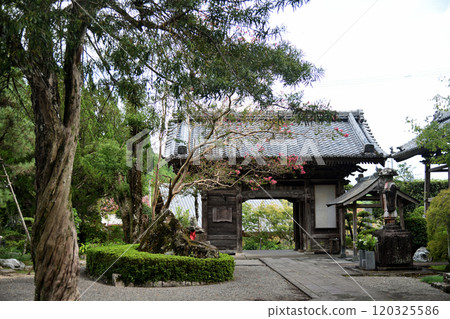 第39號寺赤龜山寺贊院圓光寺（仁王門）[高知縣宿毛市平田町] 120325586