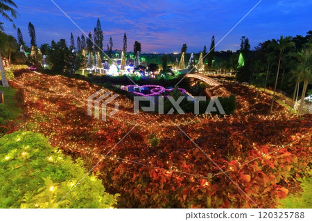 [Okinawa Prefecture] Tropical illuminations at Southeast Botanical Gardens (Churayashi Park Okinawa) 120325788