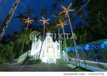 [沖繩縣] 東南植物園（沖繩美麗石公園）的熱帶燈飾 120325791