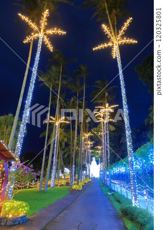 [Okinawa Prefecture] Tropical illuminations at Southeast Botanical Gardens (Churayashi Park Okinawa) 120325801